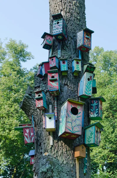 Färgglad fågel hus nest box hänga gamla trädstam — Stockfoto