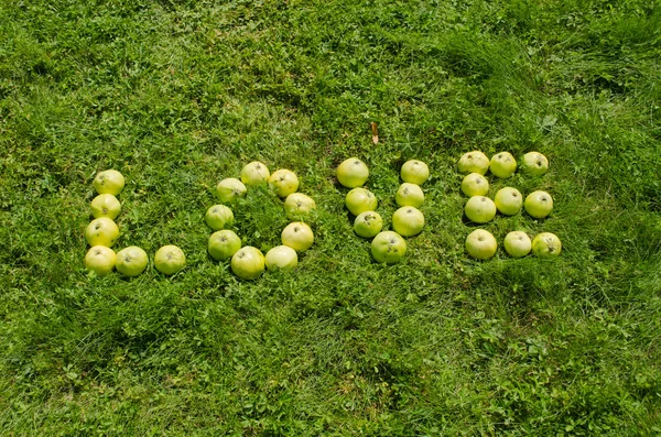 Word love of green apple on garden lawn — Stock Photo, Image