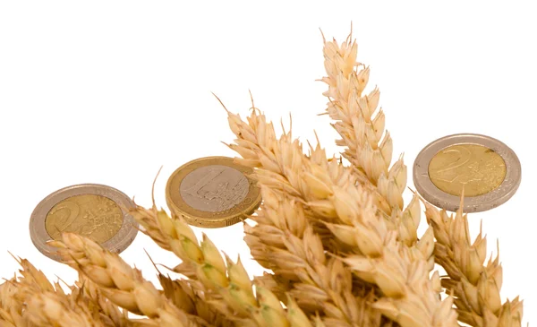 Izole beyaz buğday olgun hasat kulakları euro coins — Stok fotoğraf