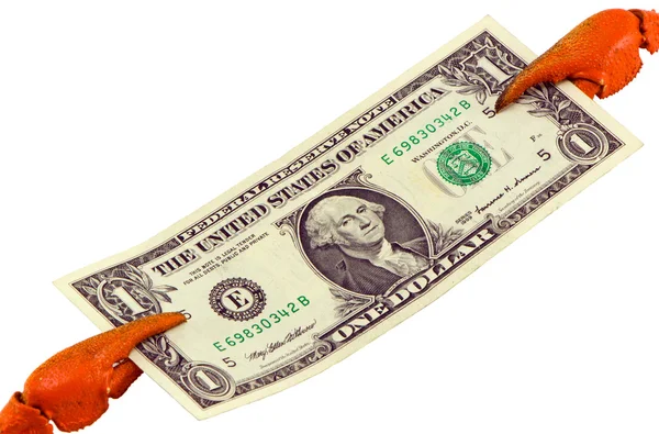 La garra de cangrejo mantiene aislado el billete de papel en dólares — Foto de Stock
