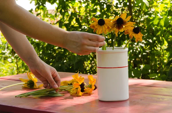 Les mains de la femme mettent des fleurs de rudbekia dans un vase blanc — Photo