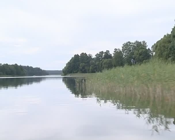 Belle crique au bord du lac avec des scirpes filmées à bord du bateau .