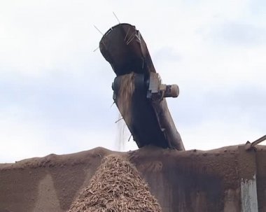 Sawmill raw fuel. wood chips poured in a heap.