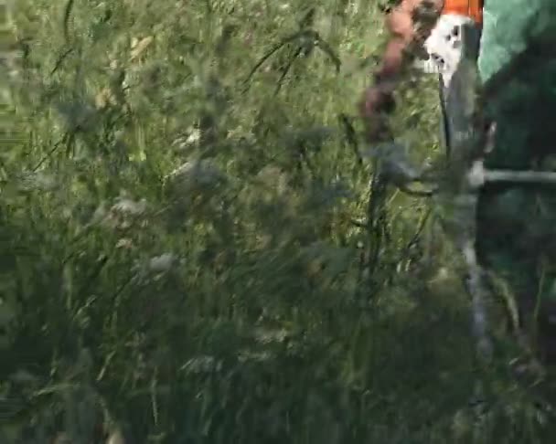 Homme avec un coupe-bande coupe-ligne atteignant l'herbe haute .