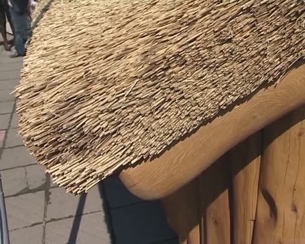 Roof of the house made of straw. exposure. — Stock Video