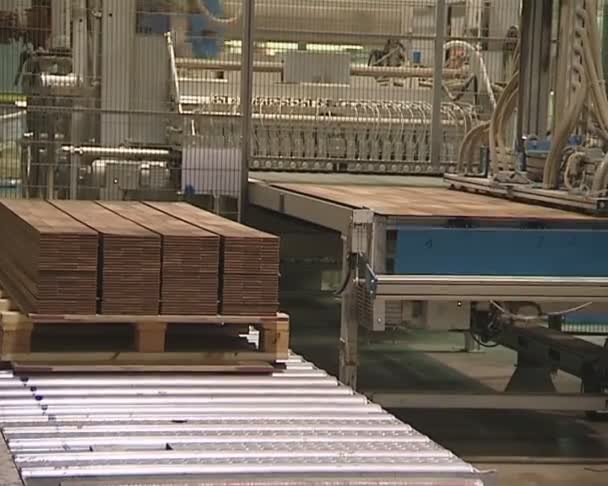 Floorboad produktion i industriell fabriken. — Stockvideo