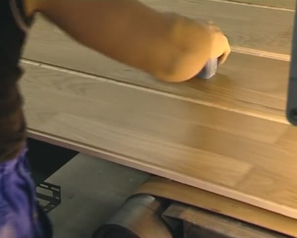 Contrôle de la qualité du sanglier produit en usine industrielle .