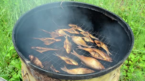 Closeup fish smoked in rusty vintage barrel smokehouse — Stock Video
