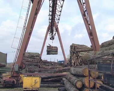 günlükleri kargo araç yükleniyor. Ağaç işleme ve sanayi.