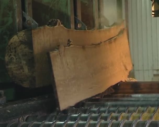 Cortando tablas de troncos. Máquinas especiales para el procesamiento de madera . — Vídeos de Stock