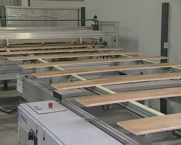 Departamento de producción de parquet. tablones moviéndose sobre escaleras mecánicas . — Vídeos de Stock