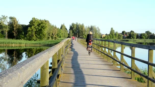 Bridge woman view — Stock Video