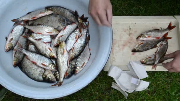 Salting fish bowl hand — Stock Video