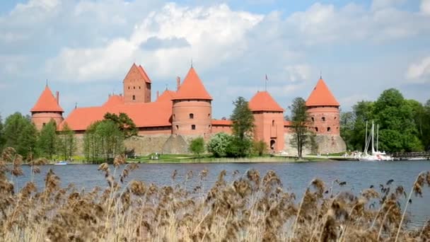 Resten trakai slott — Stockvideo