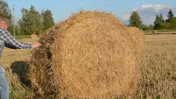 Man move straw bale field — Wideo stockowe