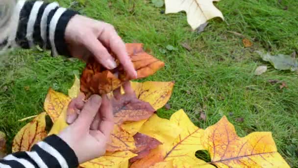 Kvinna göra blomma blad — Stockvideo