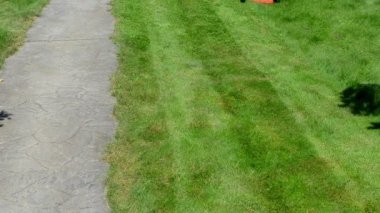 taş yolu kesilmiş çimen