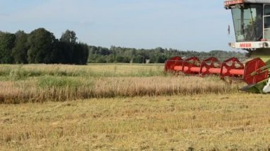 hasat buğday birleştirmek