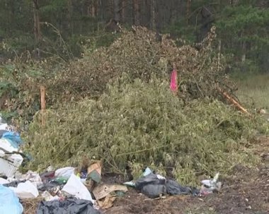 Ormanda bir yığın çöp bırakıldı. Çevre kirliliği
