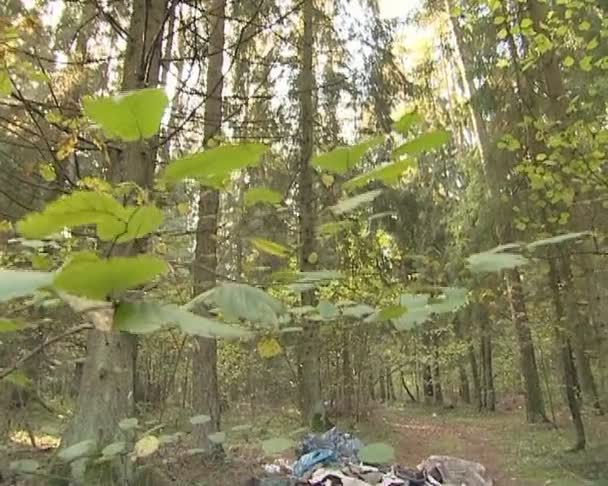 Bunch of garbage spilled in forest. environmental pollution. — Stock Video