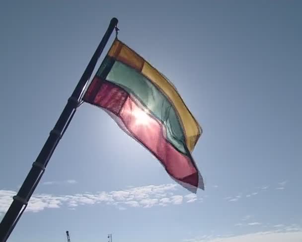 Small lithuanian tricolor flag flying in wind at end of boat. — Stock Video