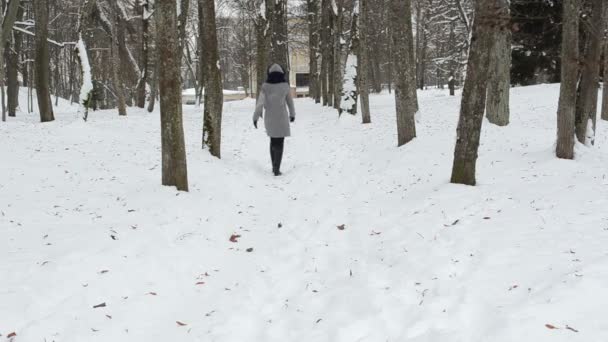 Donna percorso a piedi neve — Video Stock