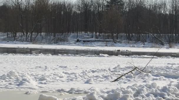 View of frozen river — Stock Video