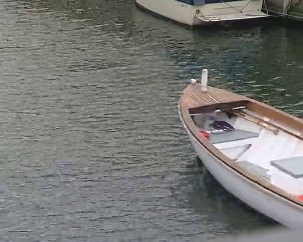 Motor boat with danish flag floating in river. moored yachts. — Stock Video