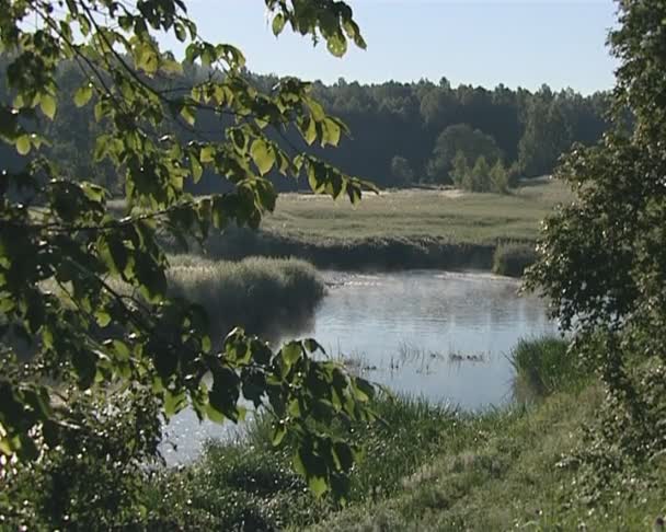 Rzeka bay otoczony jest gęste lasy i łąki. — Wideo stockowe