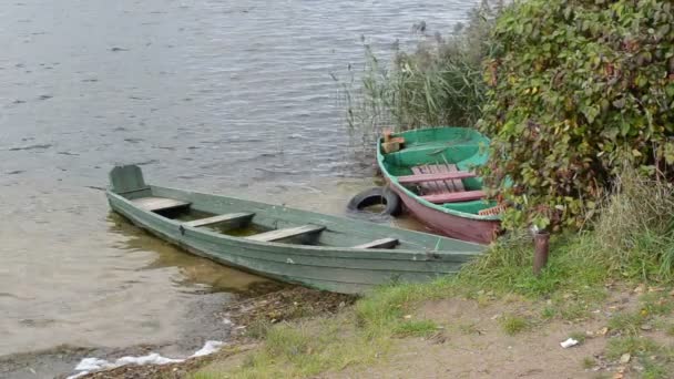 Old wooden sunken boats — Stock Video