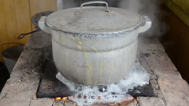 Pot water boil flow burn — Stock Video