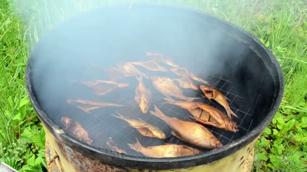 鱼吸烟生锈桶 — 图库视频影像