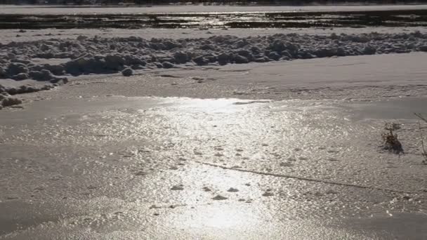 Floe flottant dans l'eau — Video