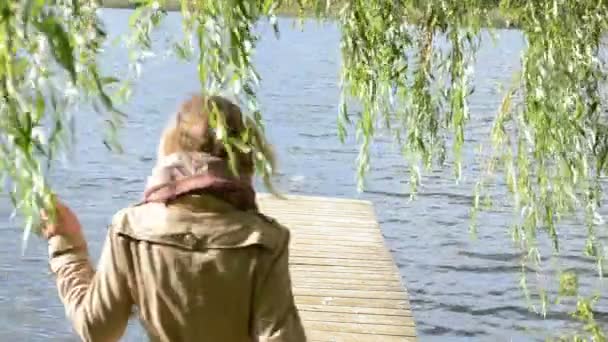 Femme cygne oiseau pont — Video