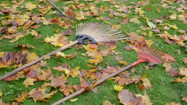 Leaf raker worker take — Stock Video