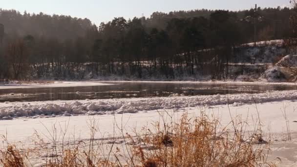 Rivier zwevende drijft — Stockvideo