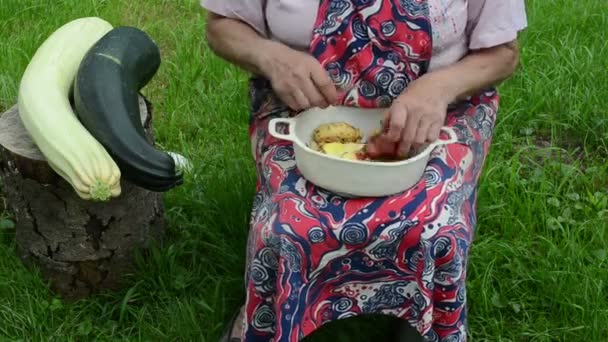 Calabacín de papa de mano — Vídeos de Stock