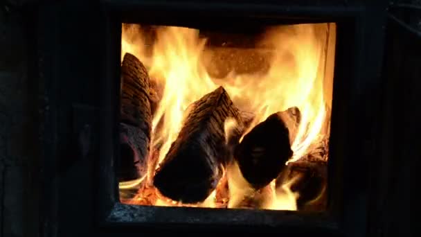 Vuur hout branden van de vlam — Stockvideo