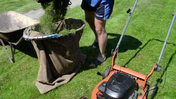 Lawn cut grass bag — Stock Video