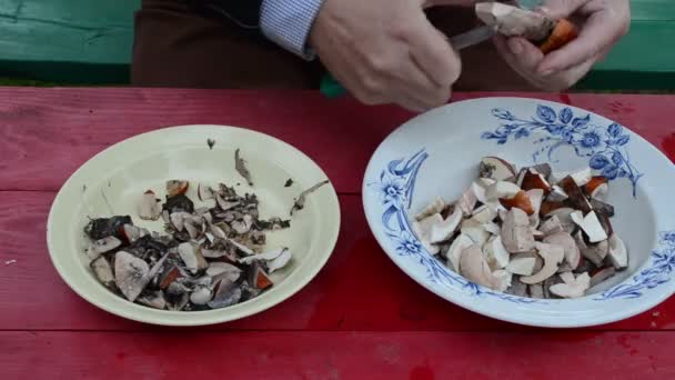 Mes gesneden champignons — Stockvideo