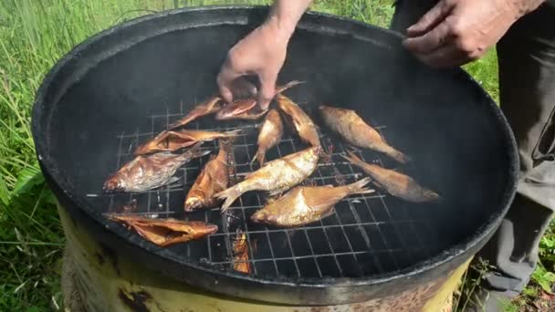 Smoked fish delicacy — Stock Video