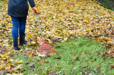 Woman red rake tool hand garden work leaves autumn