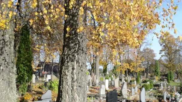 Monumento al árbol de otoño — Vídeos de Stock