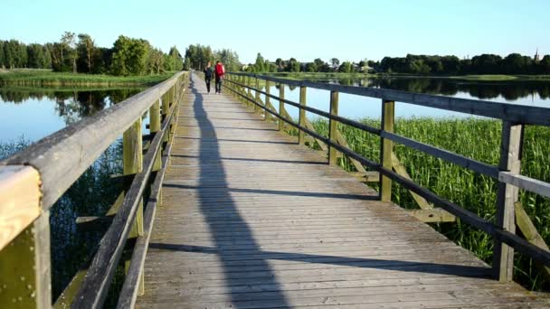 Ponte de casal romântico — Vídeo de Stock