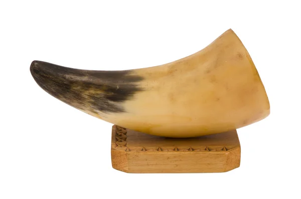 Хищник клык клык клык деревянная доска декор белый — стоковое фото