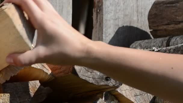 Vrouw brandhout chop — Stockvideo