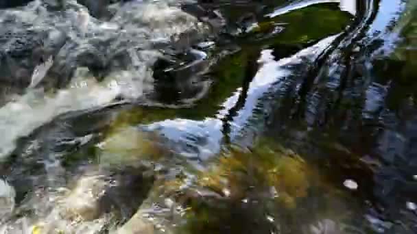 Pietra del torrente sott'acqua — Video Stock