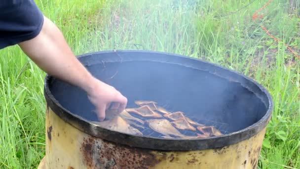 Kontrollera rökt abborre fisk — Stockvideo