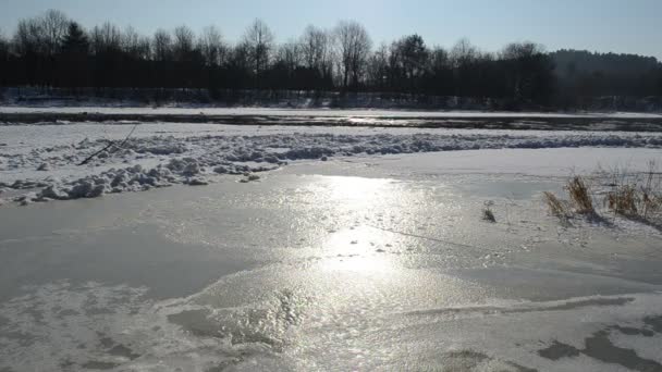 Río hielo flotante — Vídeos de Stock