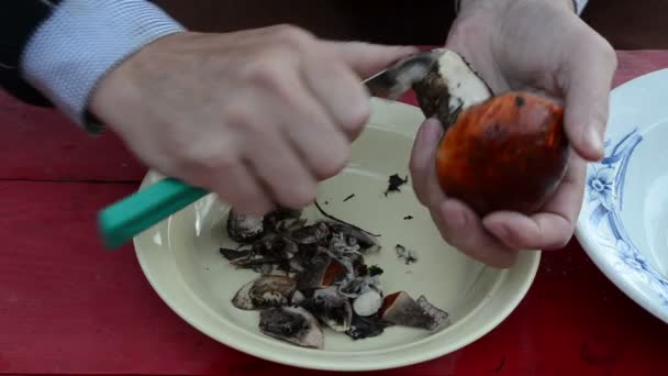Cogumelo de touca laranja limpo — Vídeo de Stock